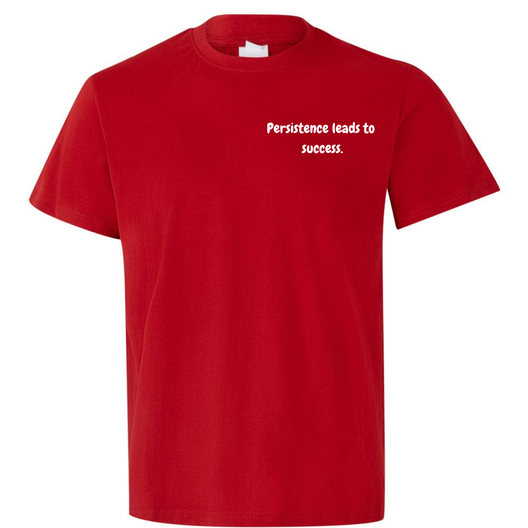 T-shirt "Persistence leads to sucess."